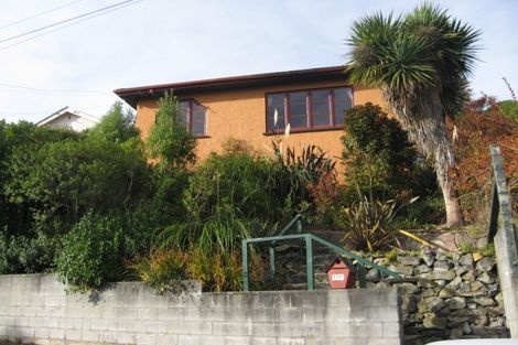 Photo of property in 100 Evans Street, Opoho, Dunedin, 9010