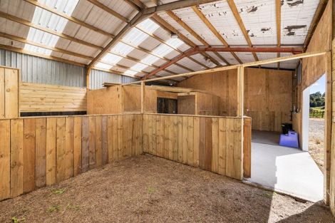 Photo of property in 259 Mcphail Road, Oropi, Tauranga, 3173