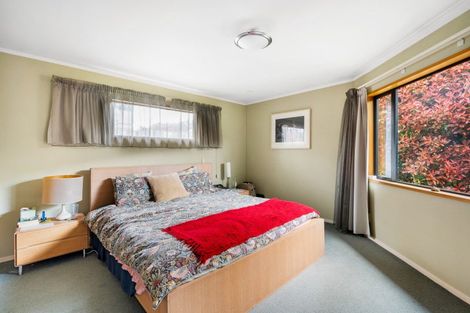 Photo of property in 85 Meadowstone Drive, Wanaka, 9305