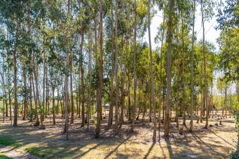 Photo of property in 672d Te Whiti Road, Te Whiti, Masterton, 5884