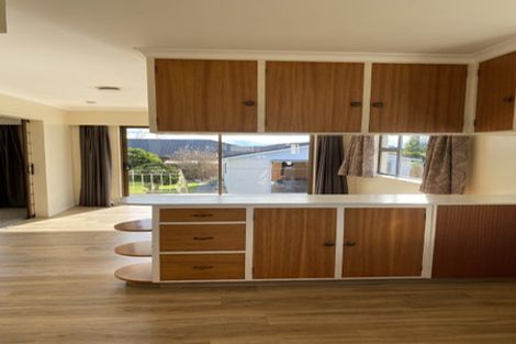 Photo of property in 19 Griffin Street, Richmond, 7020