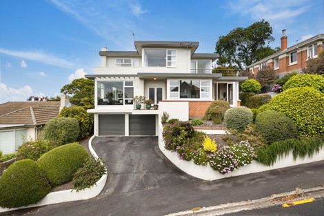 Photo of property in 15 Merlin Street, Roslyn, Dunedin, 9010