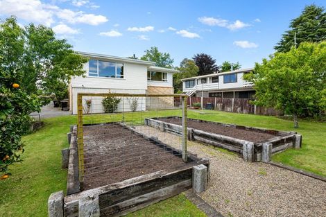 Photo of property in 79 Coronation Road, Morrinsville, 3300