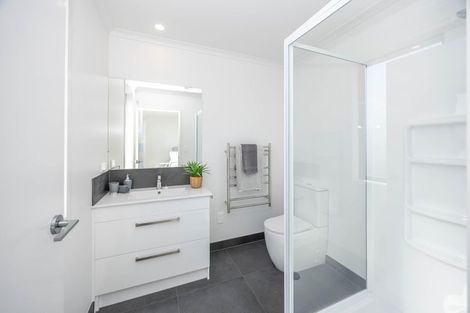 Photo of property in 52 Musselwhite Terrace, Chartwell, 3210