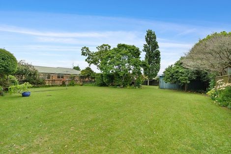 Photo of property in 62 Burwood Road, Matamata, 3400