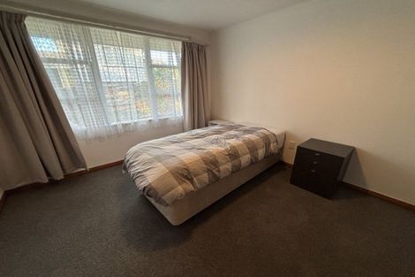 Photo of property in 17 Centennial Drive, Hokowhitu, Palmerston North, 4410