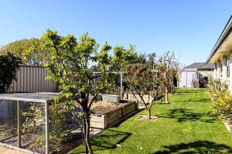 Photo of property in 6 Kakapo Lane, Motueka, 7120
