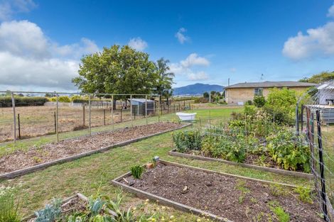 Photo of property in 194 Proctor Road, Orini, Taupiri, 3792