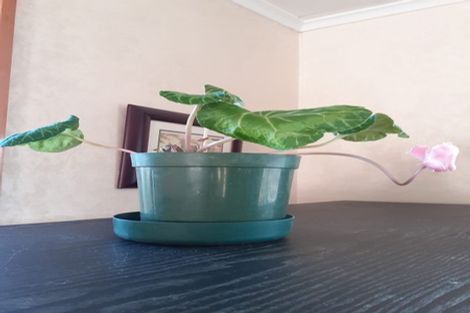 Photo of property in 205 Dalziel Road, Brockville, Dunedin, 9011