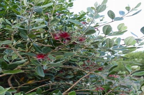 Photo of property in High Street, Waimate, 7924