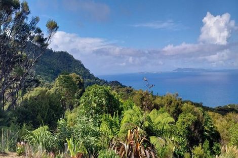 Photo of property in 525a Tuateawa Road, Tuateawa, Coromandel, 3583