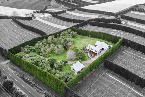 Photo of property in 311 Wainui Road South, Whakamarama, Katikati, 3181