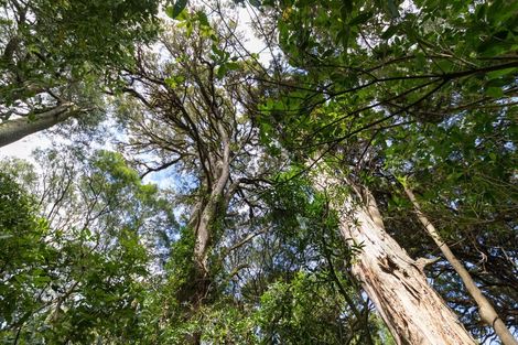 Photo of property in 499 Sandon Road, Feilding, 4779