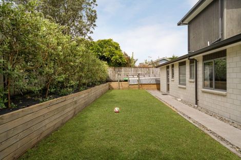 Photo of property in 45b Maranui Street, Mount Maunganui, 3116