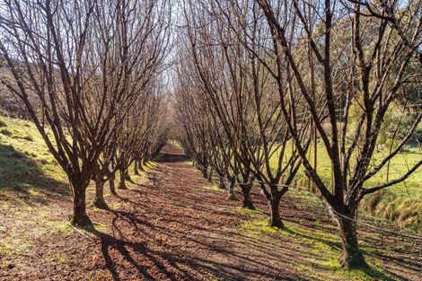 Photo of property in 9 Harmans Track, Little River, 7591