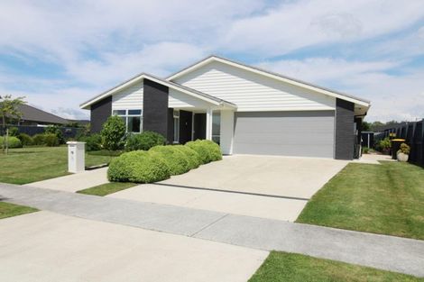Photo of property in 16 Richardson Road, Matamata, 3400