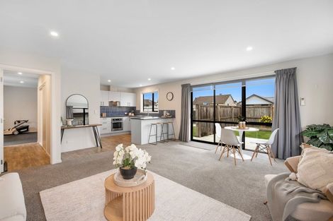 Photo of property in 30 Willow Street, Hampstead, Ashburton, 7700