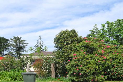 Photo of property in 62 Oak Street, Mangapapa, Gisborne, 4010