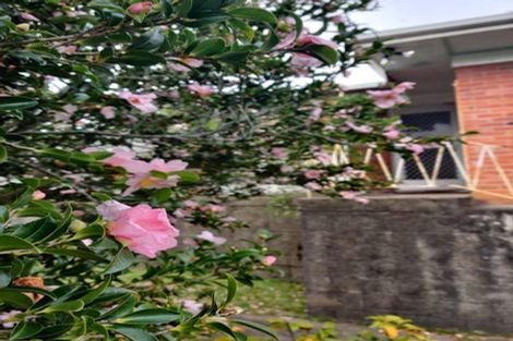 Photo of property in 4/44 Lake Road, Narrow Neck, Auckland, 0624