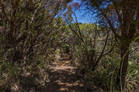 Photo of property in 266 Tutukaka Block Road, Tutukaka, Whangarei, 0173