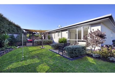 Photo of property in 59 Arbor-lea Avenue, Richmond, 7020