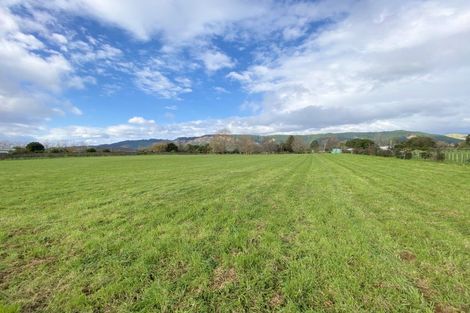 Photo of property in 61 Wakefield Road, Levin, 5571