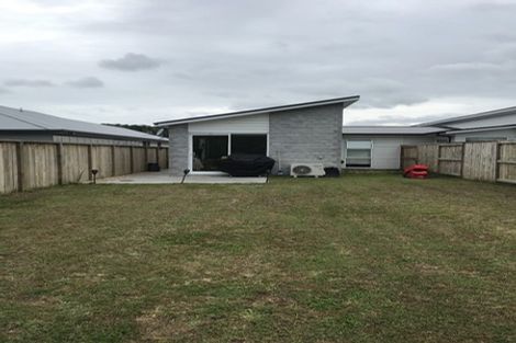 Photo of property in 113 Awataha Crescent, Pyes Pa, Tauranga, 3110