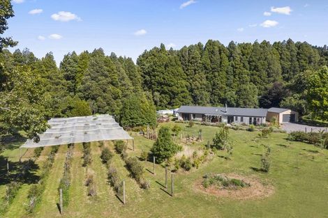 Photo of property in 31 Mangakino Road, Raglan, 3295