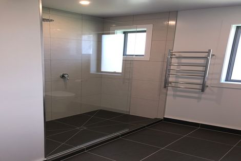 Photo of property in 3 Hector Street, Bradford, Dunedin, 9011