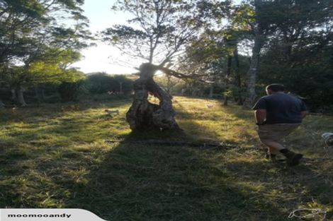 Photo of property in 350 Te Tahi Road, Puketotara, Te Awamutu, 3876