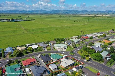 Photo of property in 41 Darlington Street, Ngatea, 3503