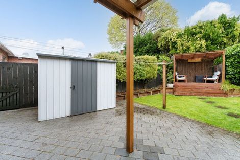 Photo of property in 4 Massey Avenue, Saint Clair, Dunedin, 9012