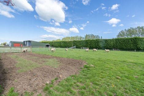 Photo of property in 39 Gap Road West, Winton, 9781