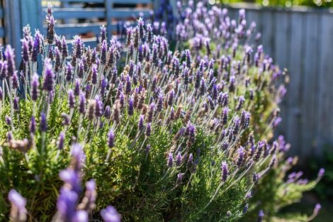 Photo of property in 25 Kahurangi Heights, Aotea, Porirua, 5024