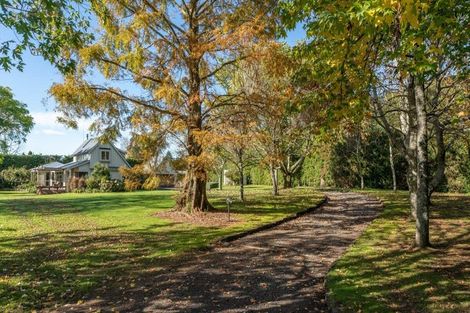 Photo of property in 451 Belk Road, Omanawa, Tauranga, 3171