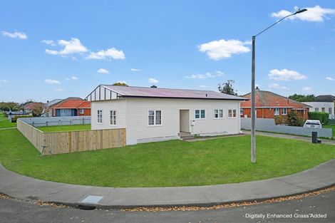 Photo of property in 700 Tamatea Street, Mahora, Hastings, 4120