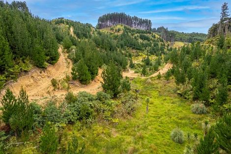 Photo of property in 865 Duncan Road, Lake Ohia, Kaitaia, 0482