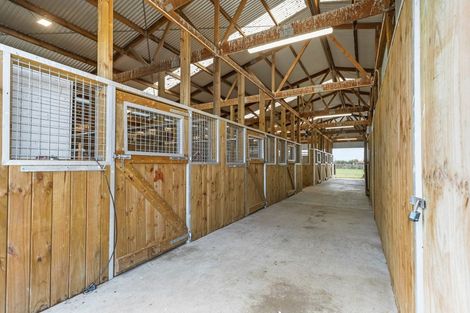 Photo of property in 27c Marshmeadow Road, Newstead, Hamilton, 3286