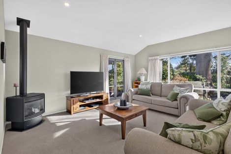 Photo of property in 6 Acorn Close, Waltham, Christchurch, 8023