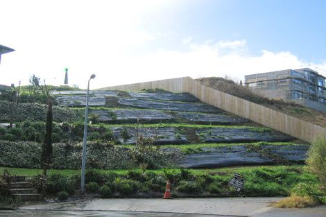 Photo of property in 41 Malcolm Street, Riverlea, Hamilton, 3216