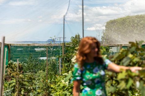 Photo of property in 265 Hot Springs Road, Tahawai, Katikati, 3178