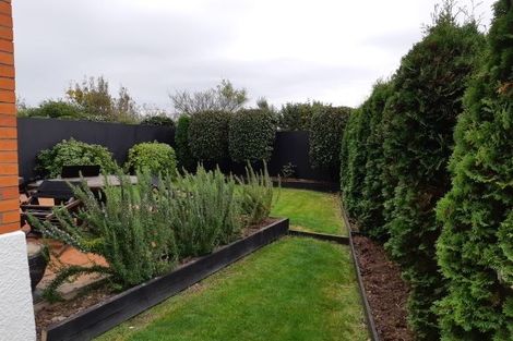 Photo of property in 6b Hereford Street, Roslyn, Dunedin, 9010