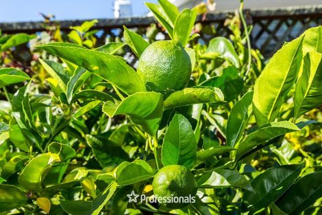 Photo of property in 21a Bauchop Road, Waterloo, Lower Hutt, 5011