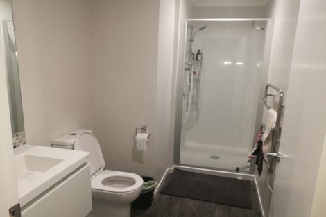 Photo of property in 3/20 Hunter Street, Hamilton Lake, Hamilton, 3204