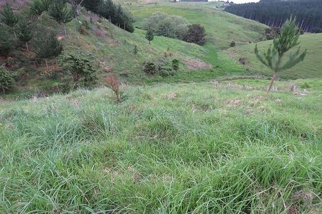 Photo of property in 289 Franklin Road, Paparoa, 0571