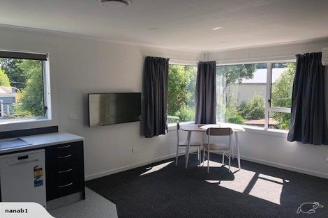 Photo of property in 1/8 Frame Street, North East Valley, Dunedin, 9010