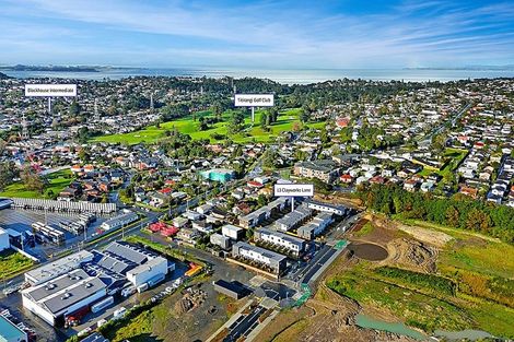 Photo of property in 13 Clay Works Lane, New Lynn, 0600