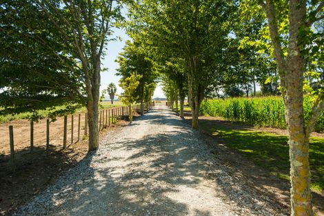 Photo of property in 254 King Road, Makauri, Gisborne, 4071