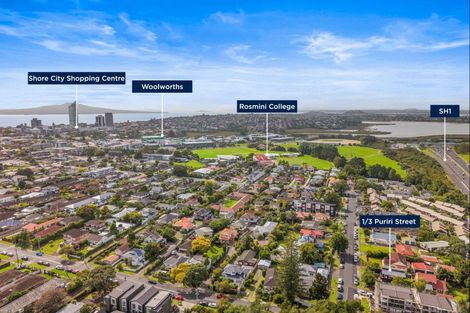 Photo of property in 1/3 Puriri Street, Takapuna, Auckland, 0622