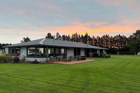Photo of property in 1128d Omanawa Road, Omanawa, Tauranga, 3171
